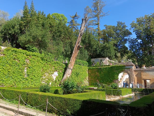 Generalife__18_.jpg