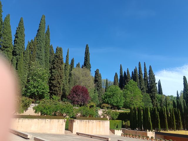 Generalife__5_.jpg