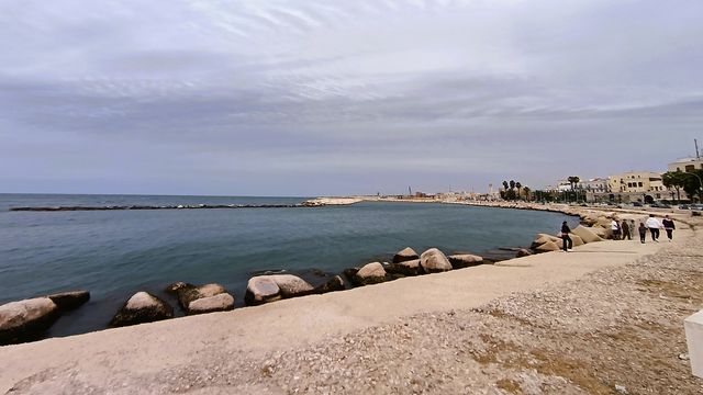 Bari__61_.jpg, juin 2025 Bari__61_.jpg