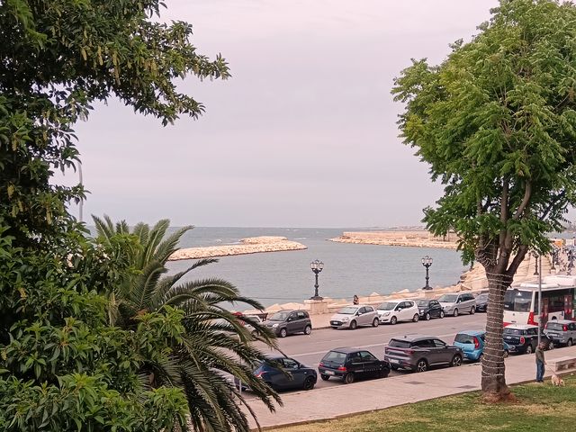 Bari__62_.jpg, juin 2025 Bari__62_.jpg