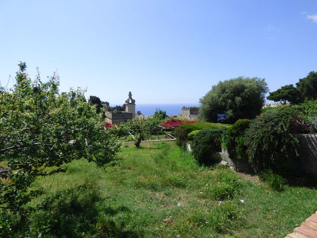 Capri_ville_et_retour__15_.JPG