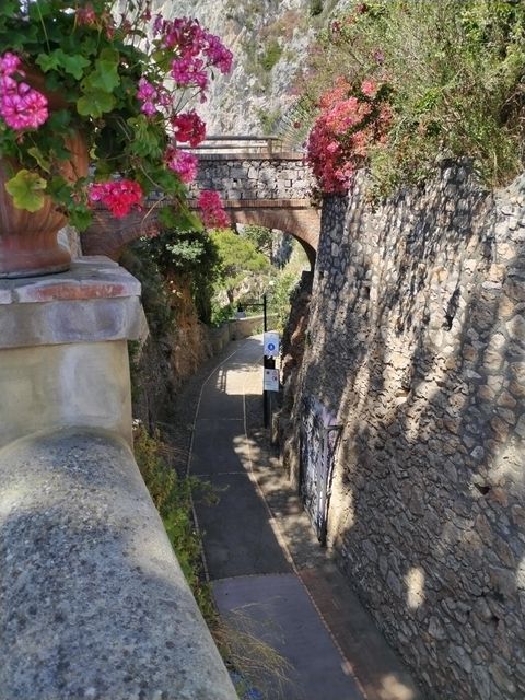 Capri_ville_et_retour__18_.jpg