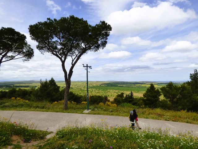 Castel_del_Monte__36_.JPG, juin 2025 Castel_del_Monte__36_.JPG