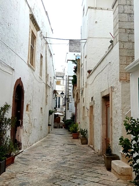 Locotorondo__1_.jpg