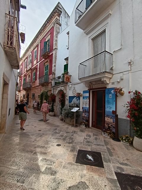 Locotorondo__20_.jpg
