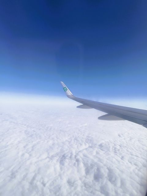 avion_17_mai__1_.jpg