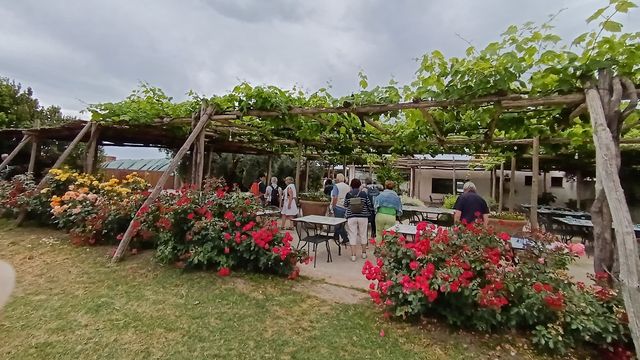Jardin__10_.jpg