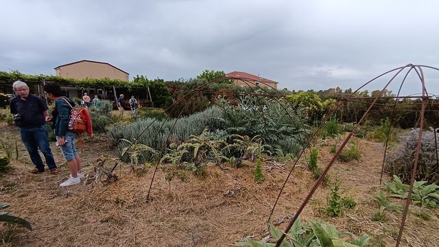 Jardin__4_.jpg