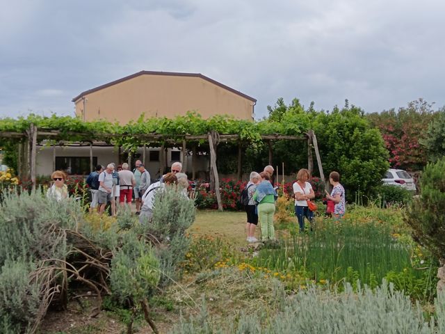 Jardin__5_.jpg
