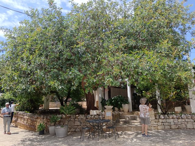 Masseria_repas__16_.jpg