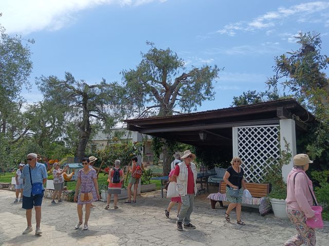 Masseria_repas__8_.jpg