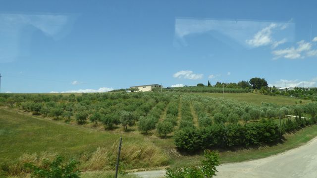 Repas_altamura__6_.JPG