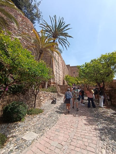 Alcazaba__3_.jpg