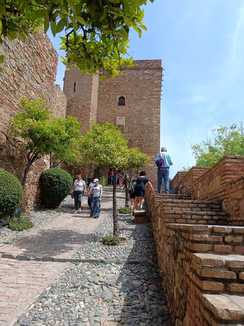 Alcazaba__4_.jpg