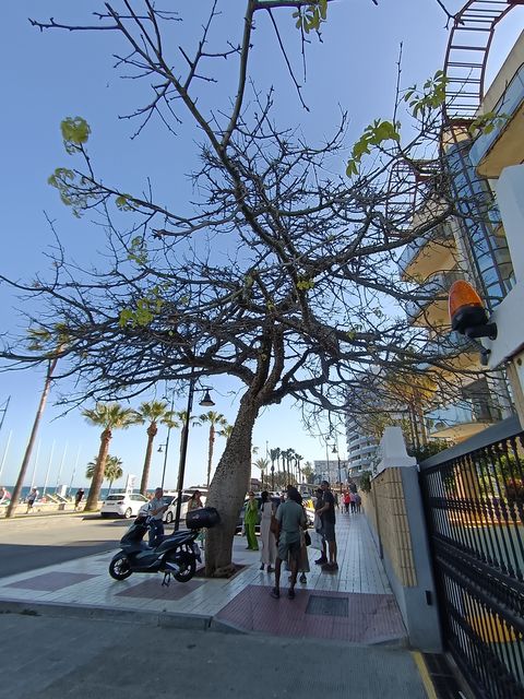 Torremolinos__1_.jpg