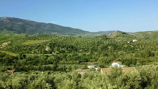 Ronda_route_matin__5_.jpg