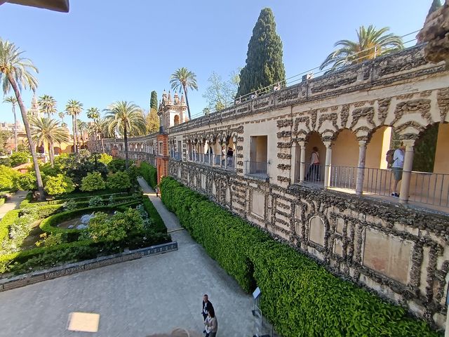 Alcazar_jardin__10_.jpg