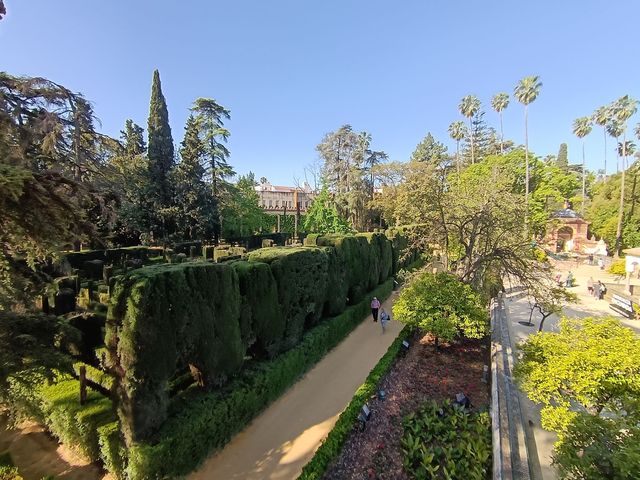 Alcazar_jardin__11_.jpg