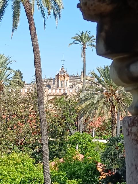 Alcazar_jardin__12_.jpg