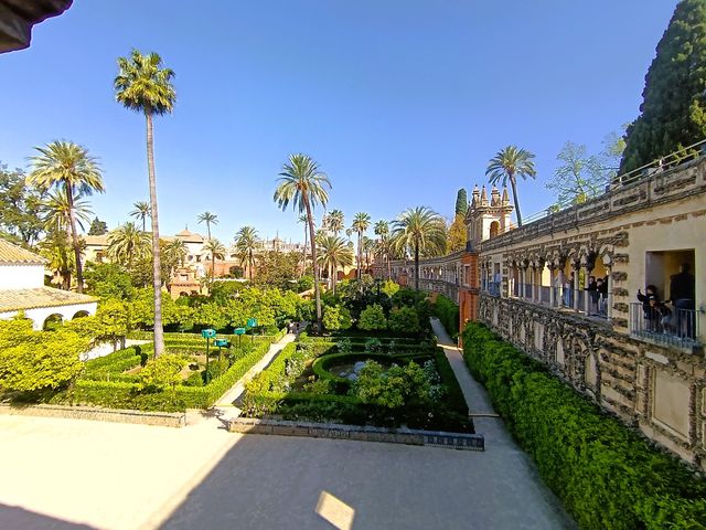 Alcazar_jardin__7_.jpg